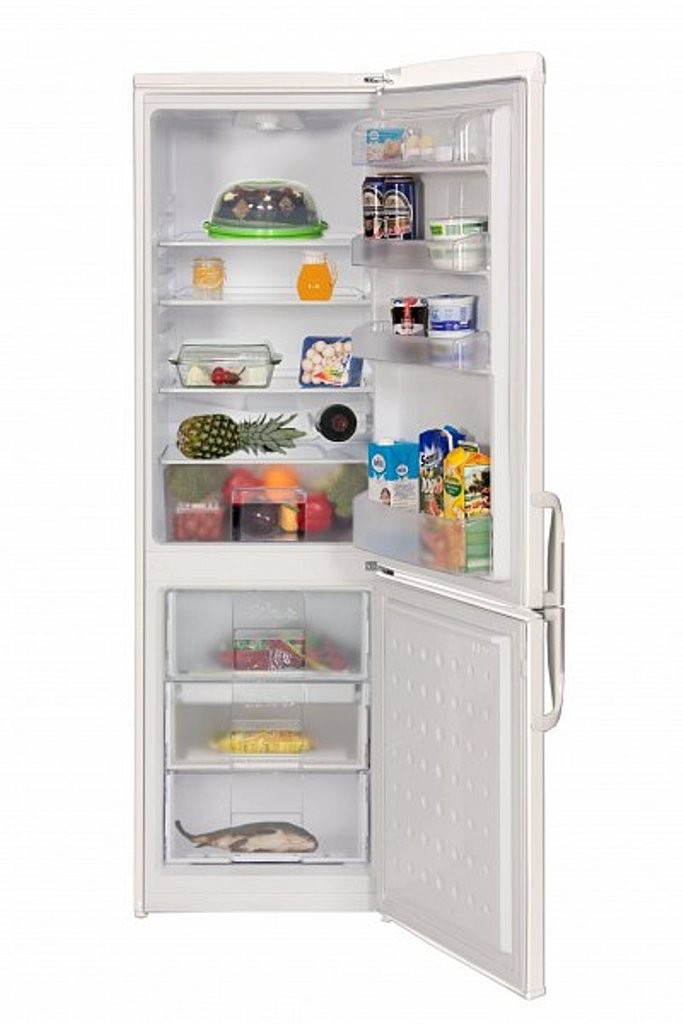 Beko CSA 29022 – chladnička