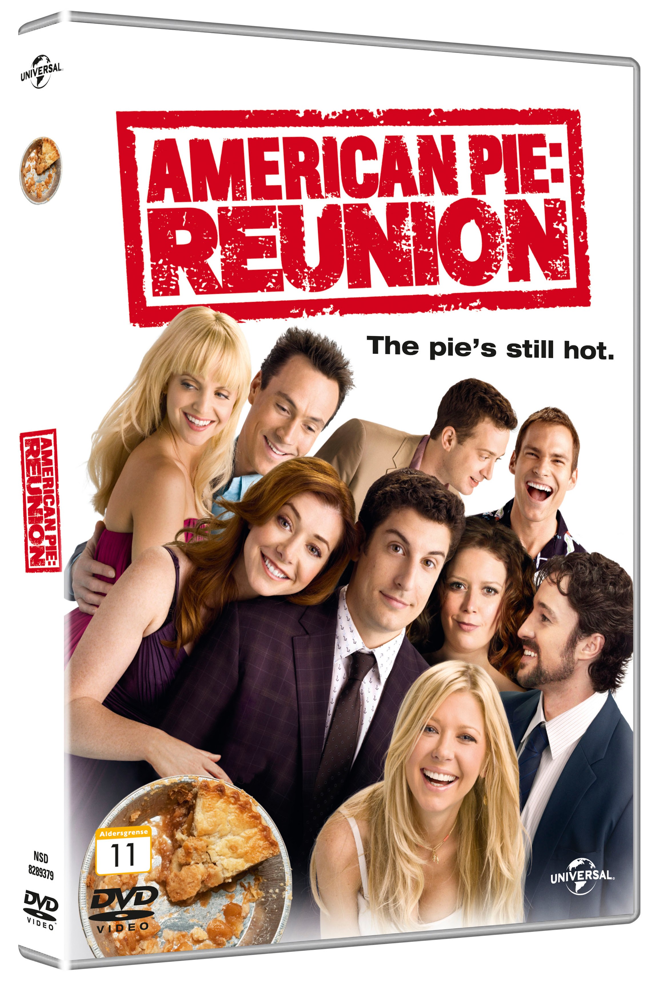 American Pie The Reunion (DVD)