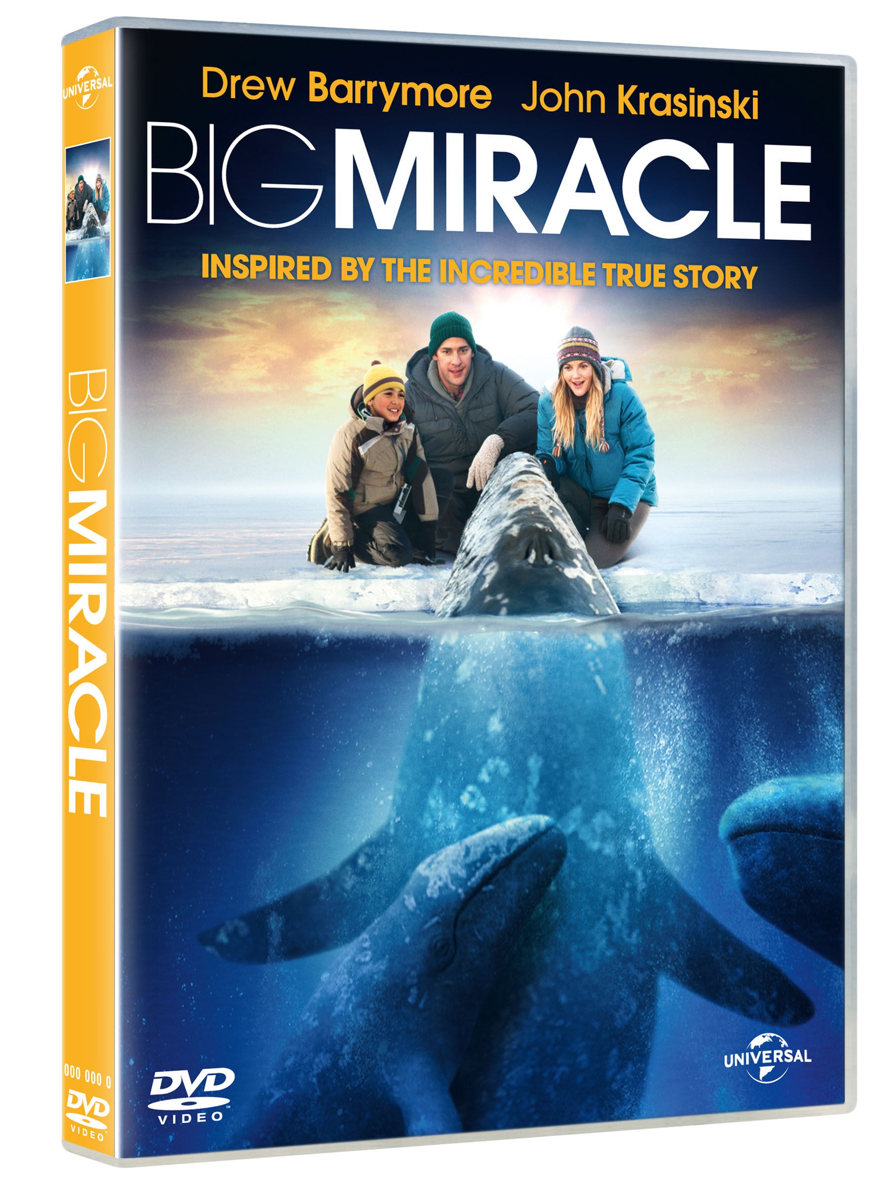 Big Miracle (DVD)