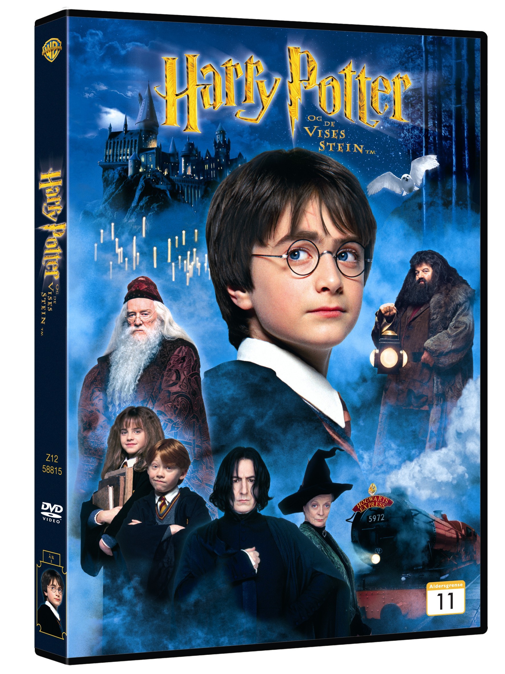 Harry Potter ja viisasten kivi (DVD)