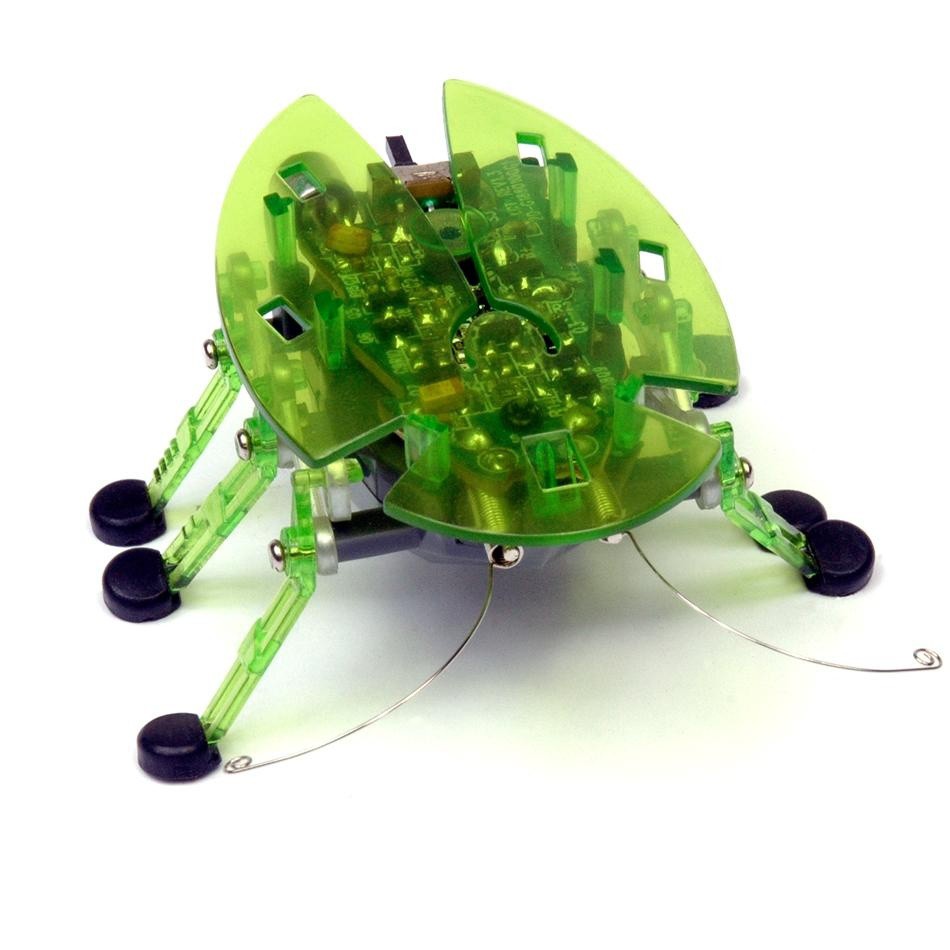 Hexbug Ploštice