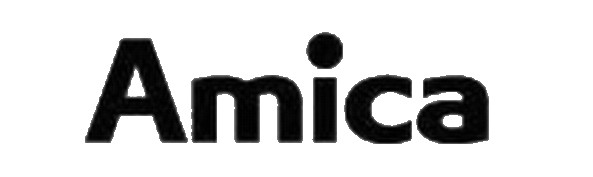 Brand Logo of Amica