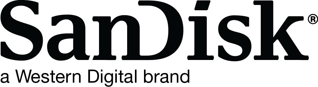 Brand Logo of Sandisk